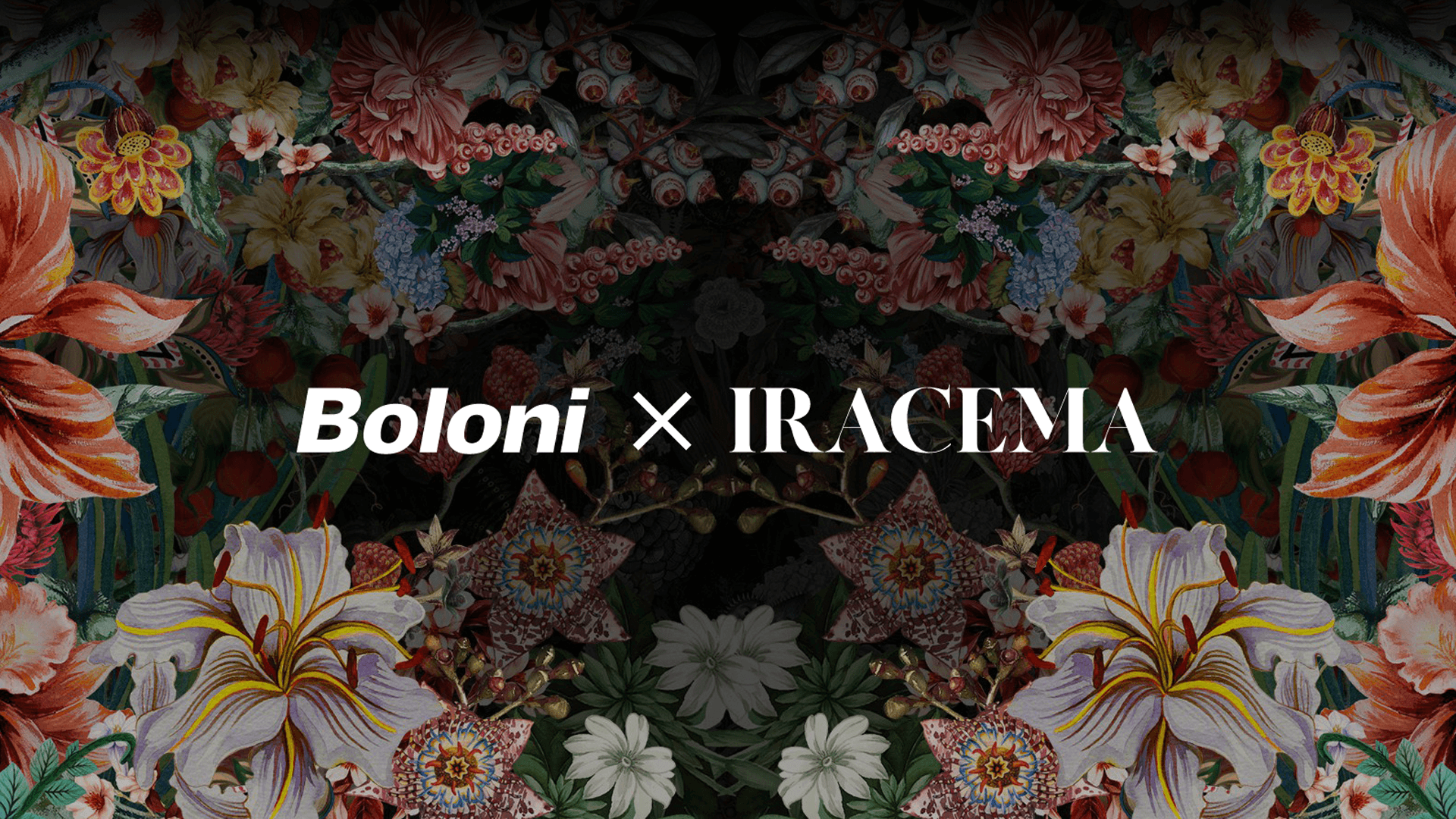Boloni X Iracema